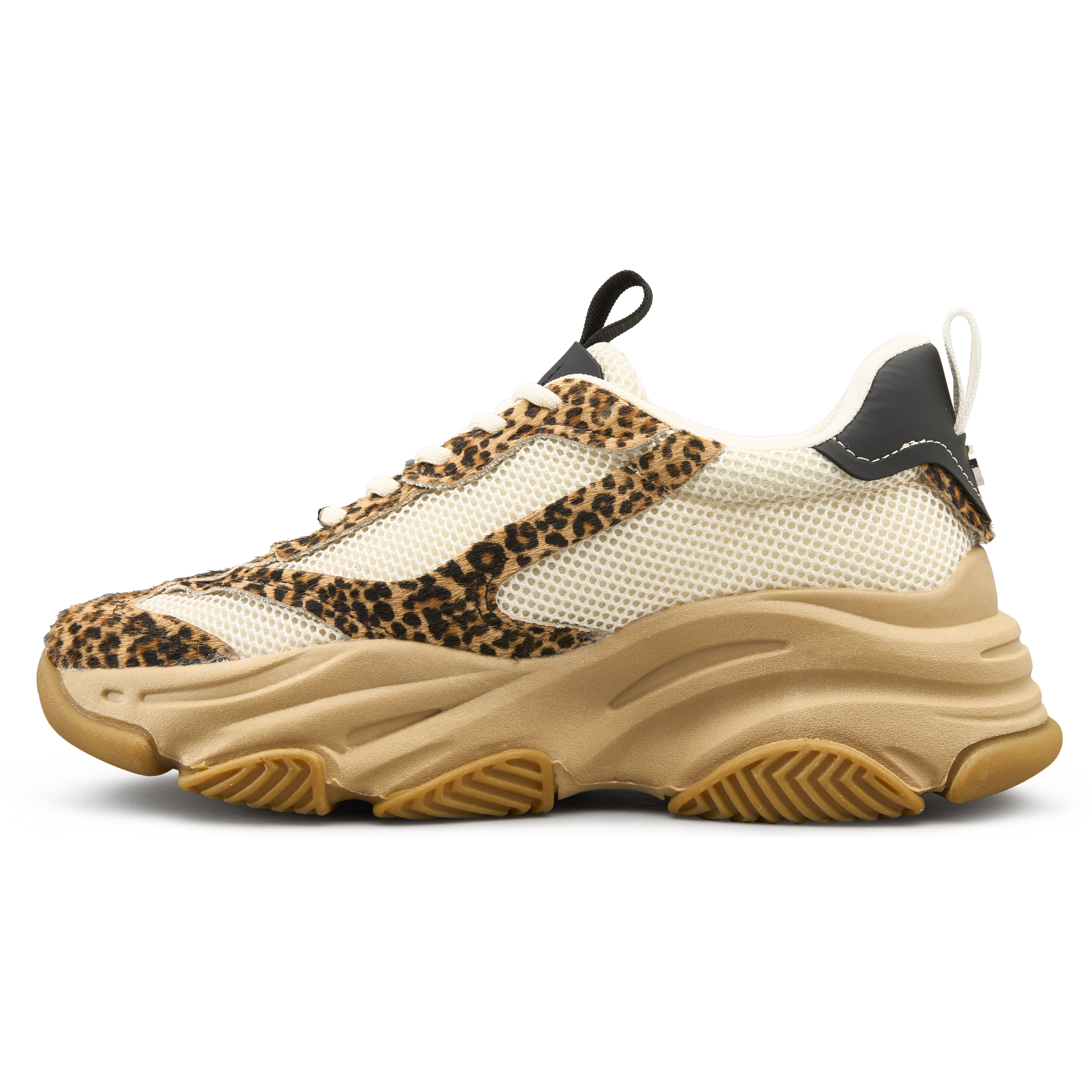 STEVE MADDEN, W Possession-E