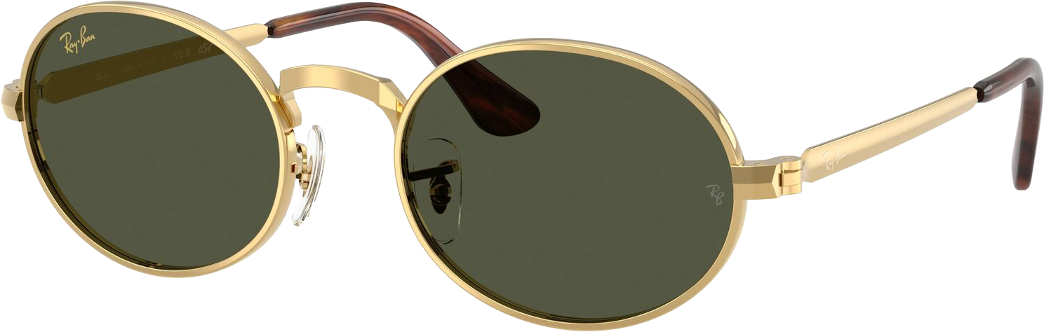 
RAY-BAN, 
RB3931, 
Detail 1
