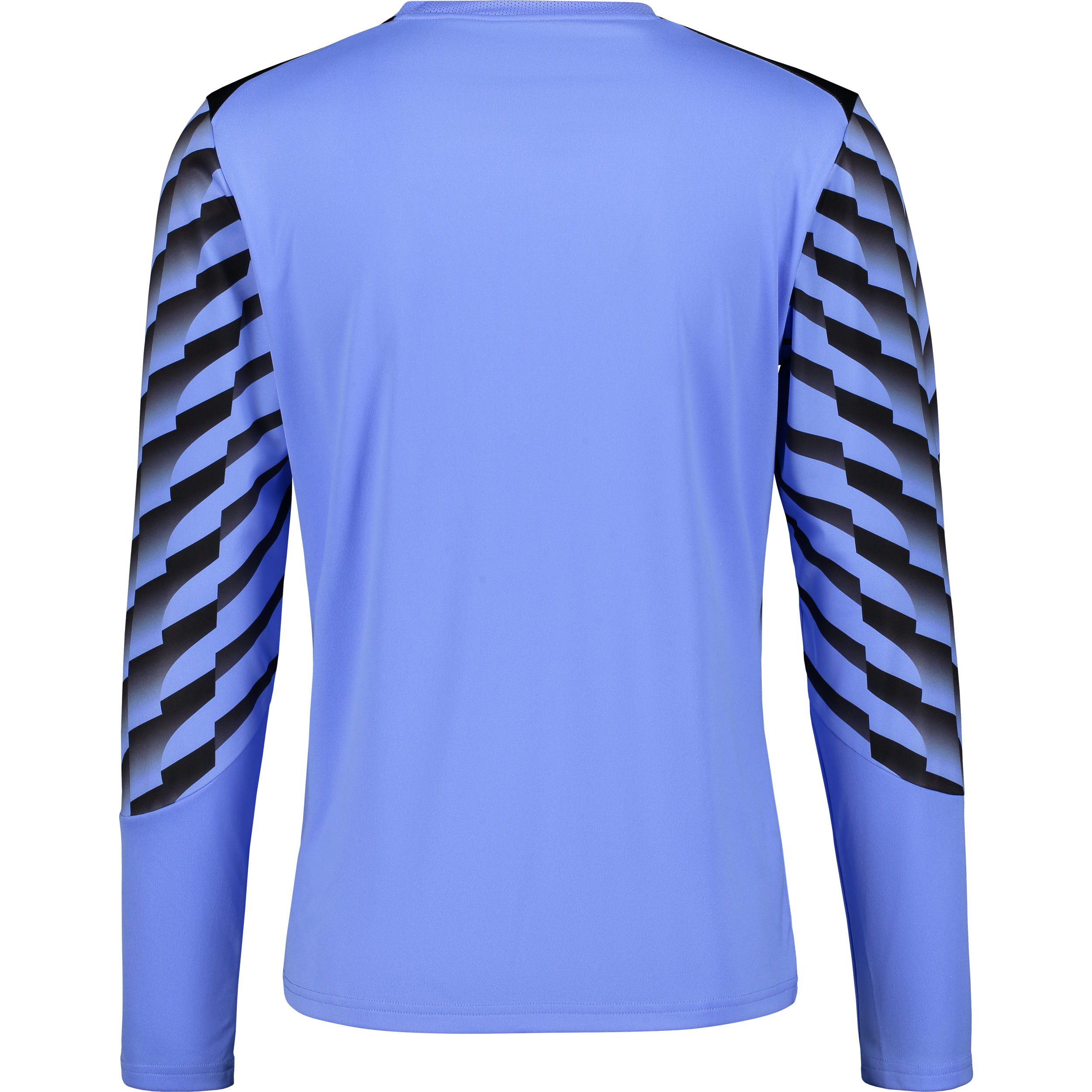 PUMA, TEAMLIGA26 GK JERSEY LS