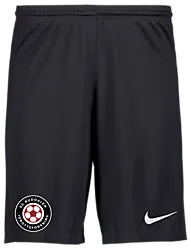 298936101102 NIKE Park III Short 298936101102 NIKE Park III Short Standard Small1x1