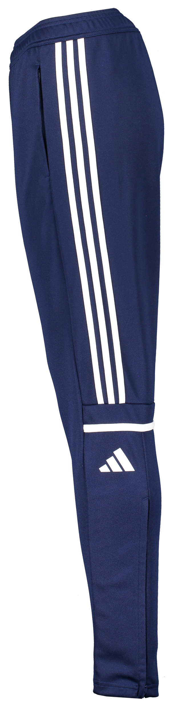 ADIDAS, Squad25 Tr Pnt W