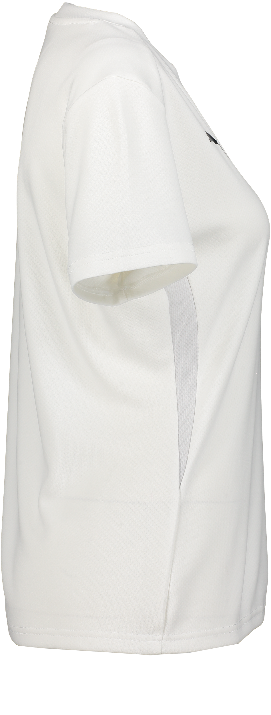 PUMA, T Goal Trg Jsy W