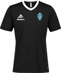 358914106101 ADIDAS Ent22 Jsy Tee 358914106101 ADIDAS Ent22 Jsy Tee Standard Small1x1