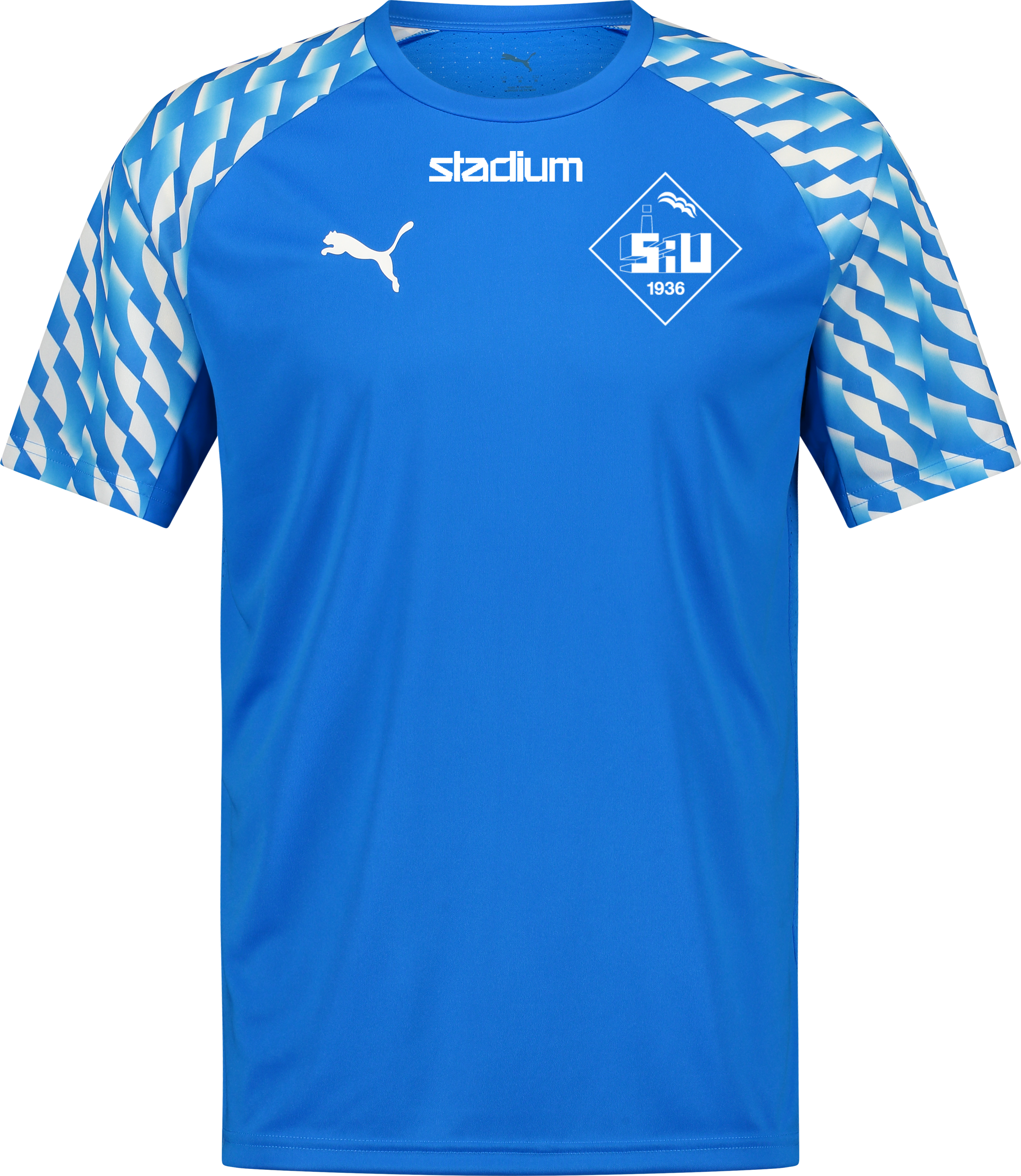 
PUMA, 
TEAMLIGA26 JERSEY JR, 
Detail 1
