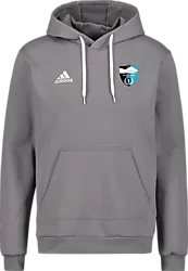358922104101 ADIDAS Ent22 Hoody 358922104101 ADIDAS Ent22 Hoody Standard Small1x1