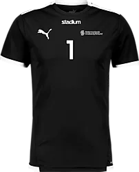 358884103101 PUMA T Liga Ss Jsy 358884103101 PUMA T Liga Ss Jsy Standard Small1x1