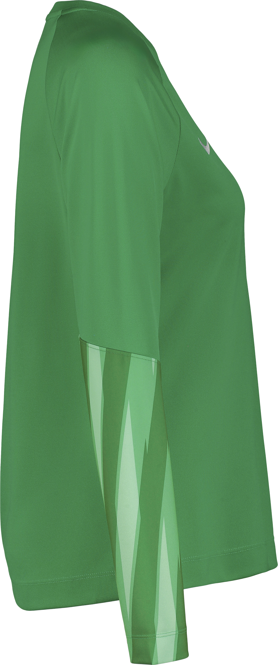 NIKE, PARK V GK LS JSY W