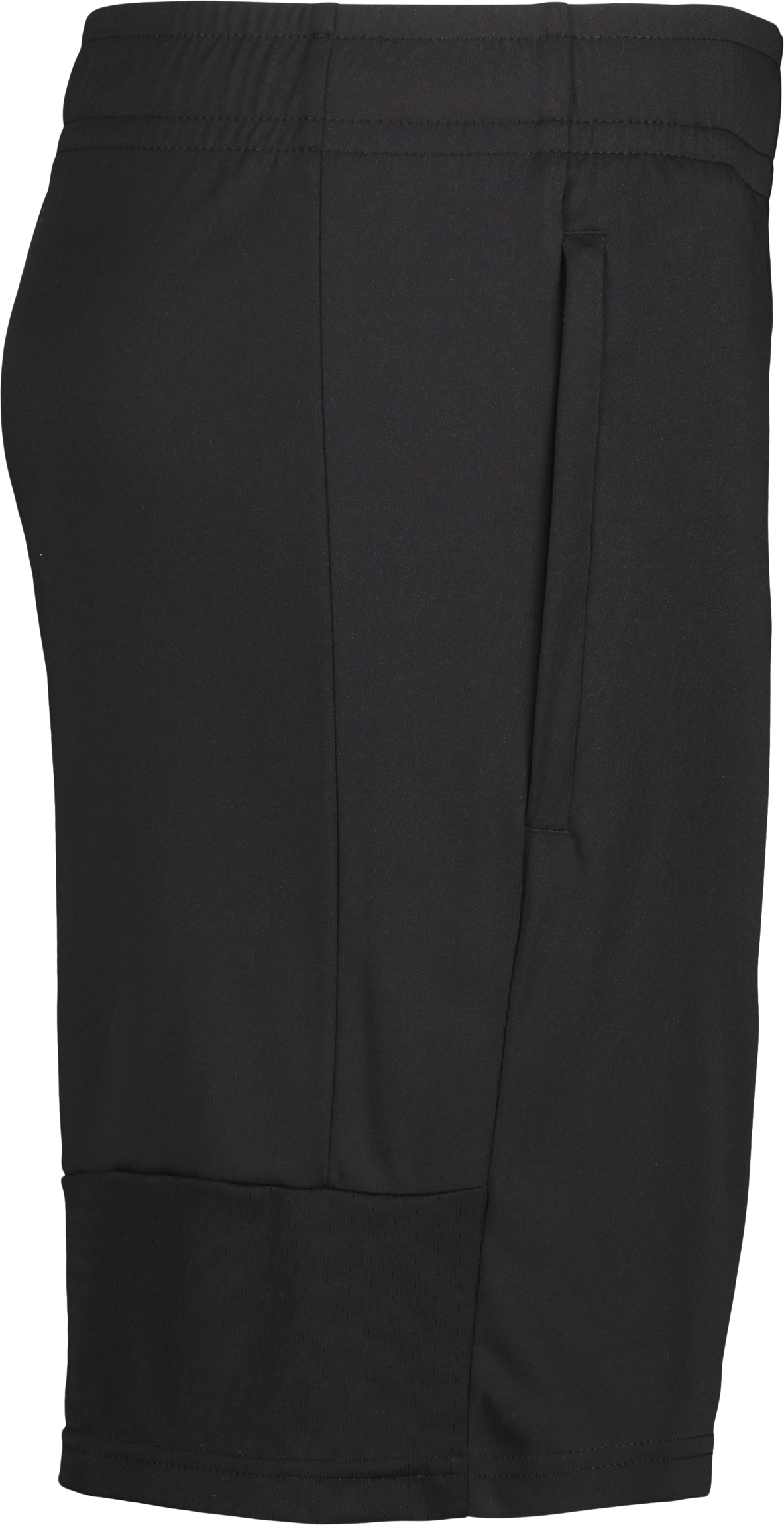 PUMA, TEAMLIGA TRAINING SHORTS