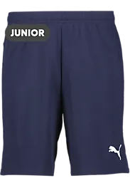 392286106101 PUMA T Goal Shorts Jr 392286106101 PUMA T Goal Shorts Jr Standard Small1x1