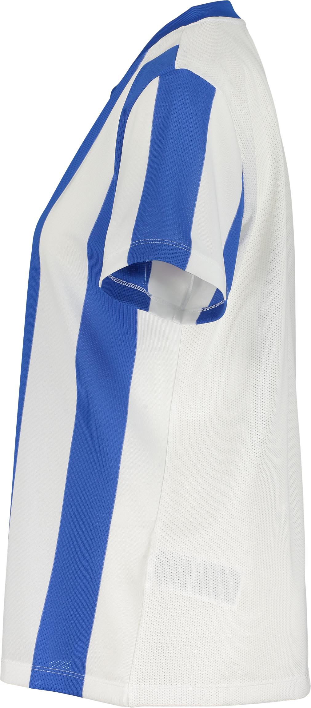 NIKE, STRIPE DVSN JSY W