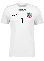 299007102101 NIKE Park VII SS Jsy 299007102101 NIKE Park VII SS Jsy Standard Small1x1