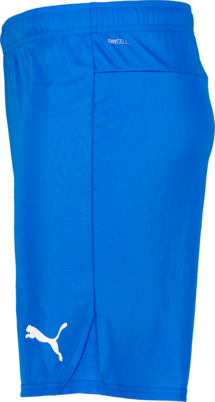 PUMA, T Goal Shorts Jr
