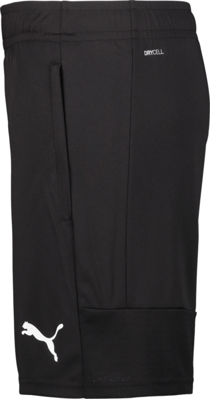 PUMA, TEAMLIGA TRAINING SHORTS