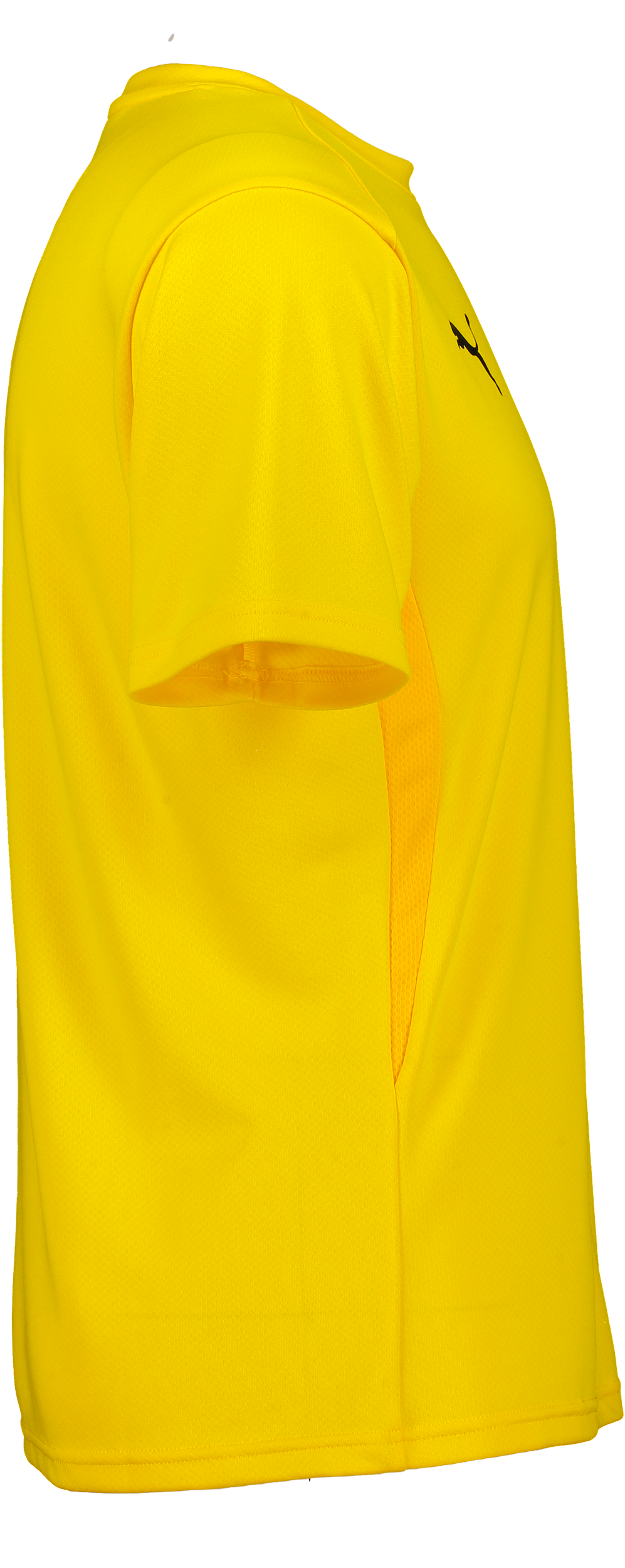 PUMA, T Goal Trg Jsy Jr