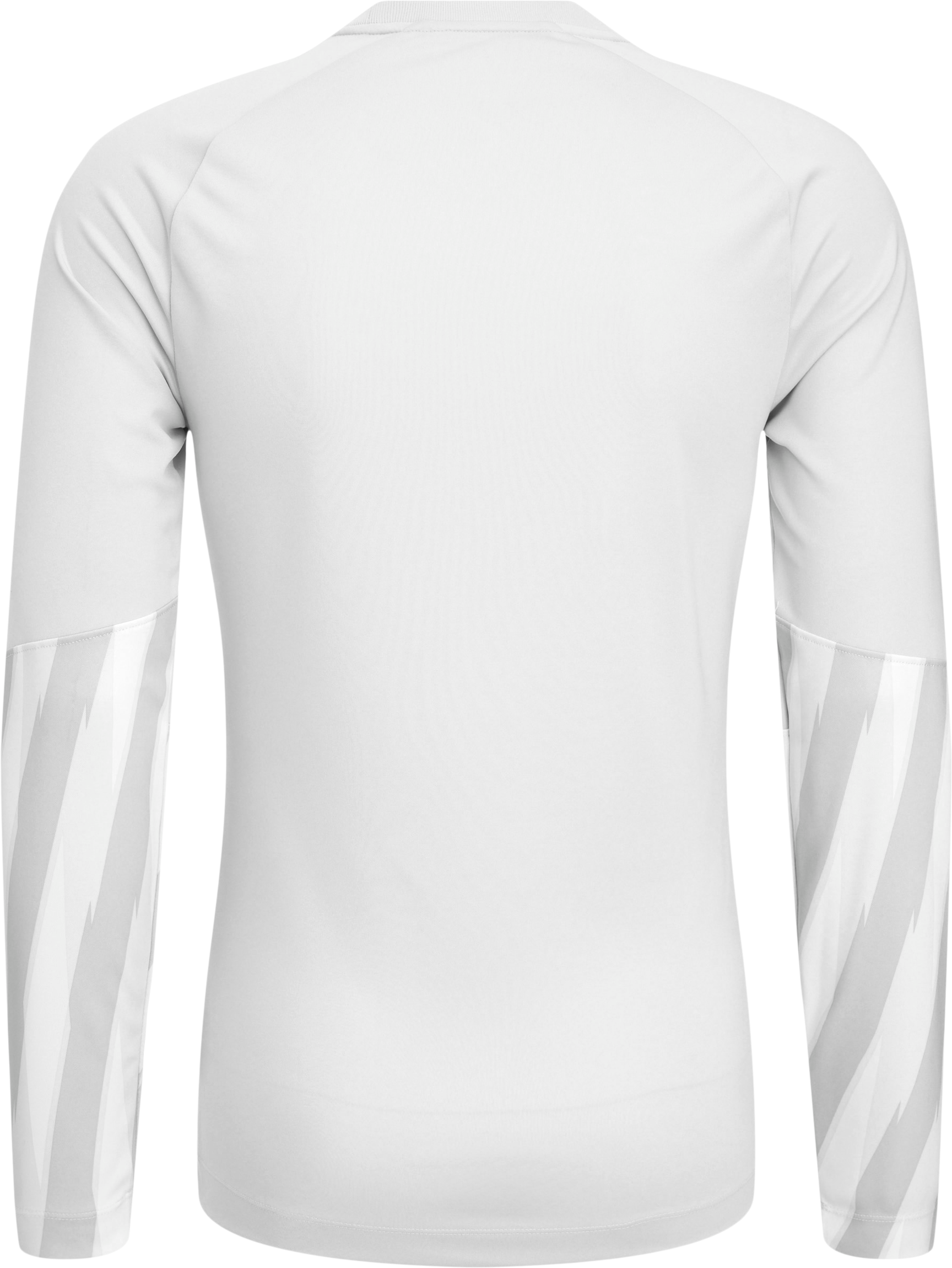 NIKE, PARK V GK LS JSY