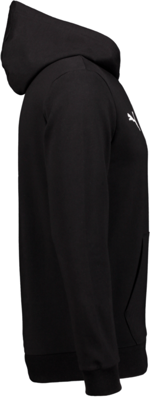 PUMA, T Goal Casual Hood Jr