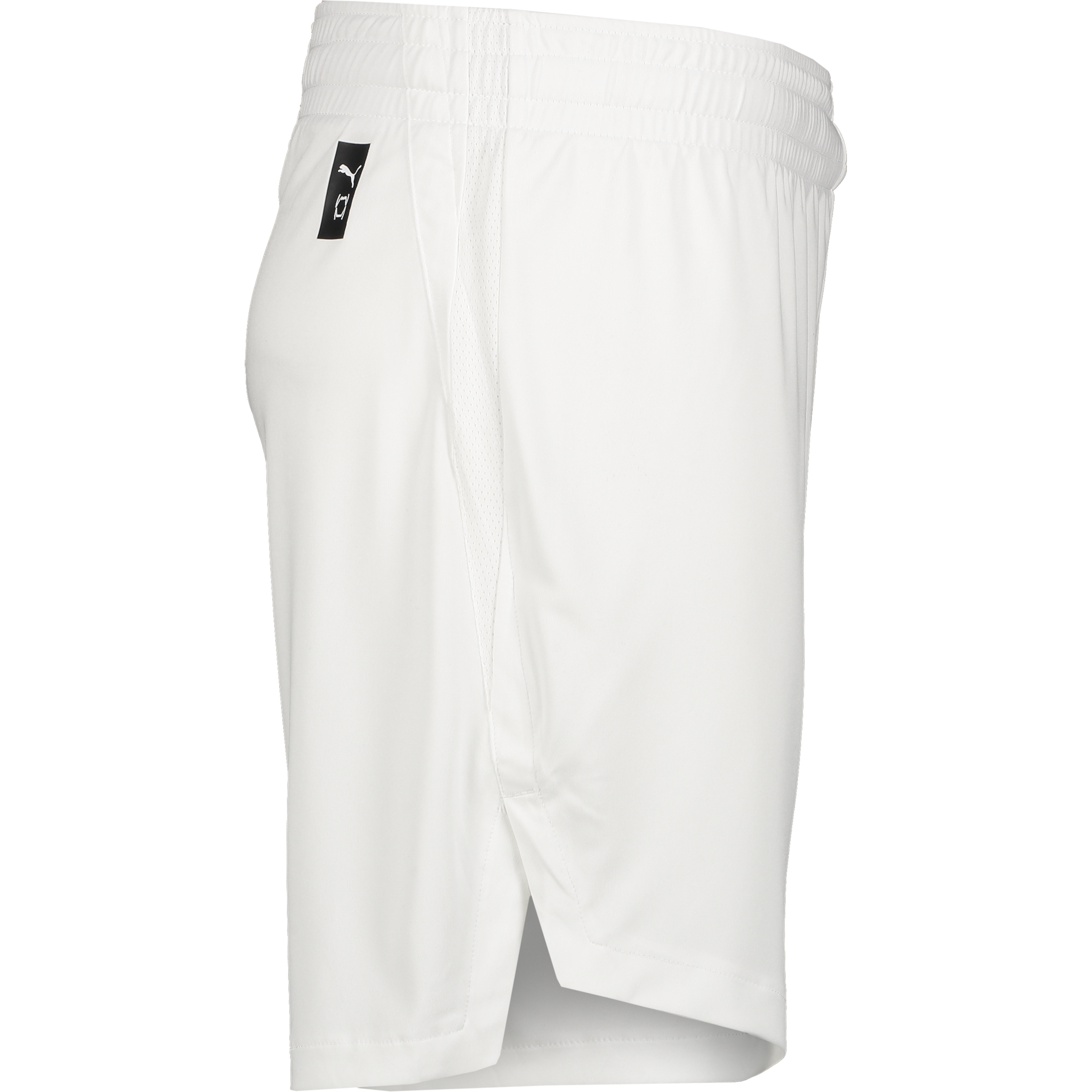 PUMA, TEAMJAWS STARTER SHORTS JR