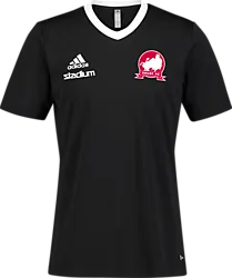 358914106101 ADIDAS Ent22 Jsy Tee 358914106101 ADIDAS Ent22 Jsy Tee Standard Small1x1