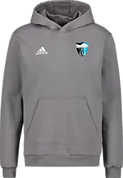 358916101101 ADIDAS Ent22 Hoody Jr 358916101101 ADIDAS Ent22 Hoody Jr Standard Small1x1