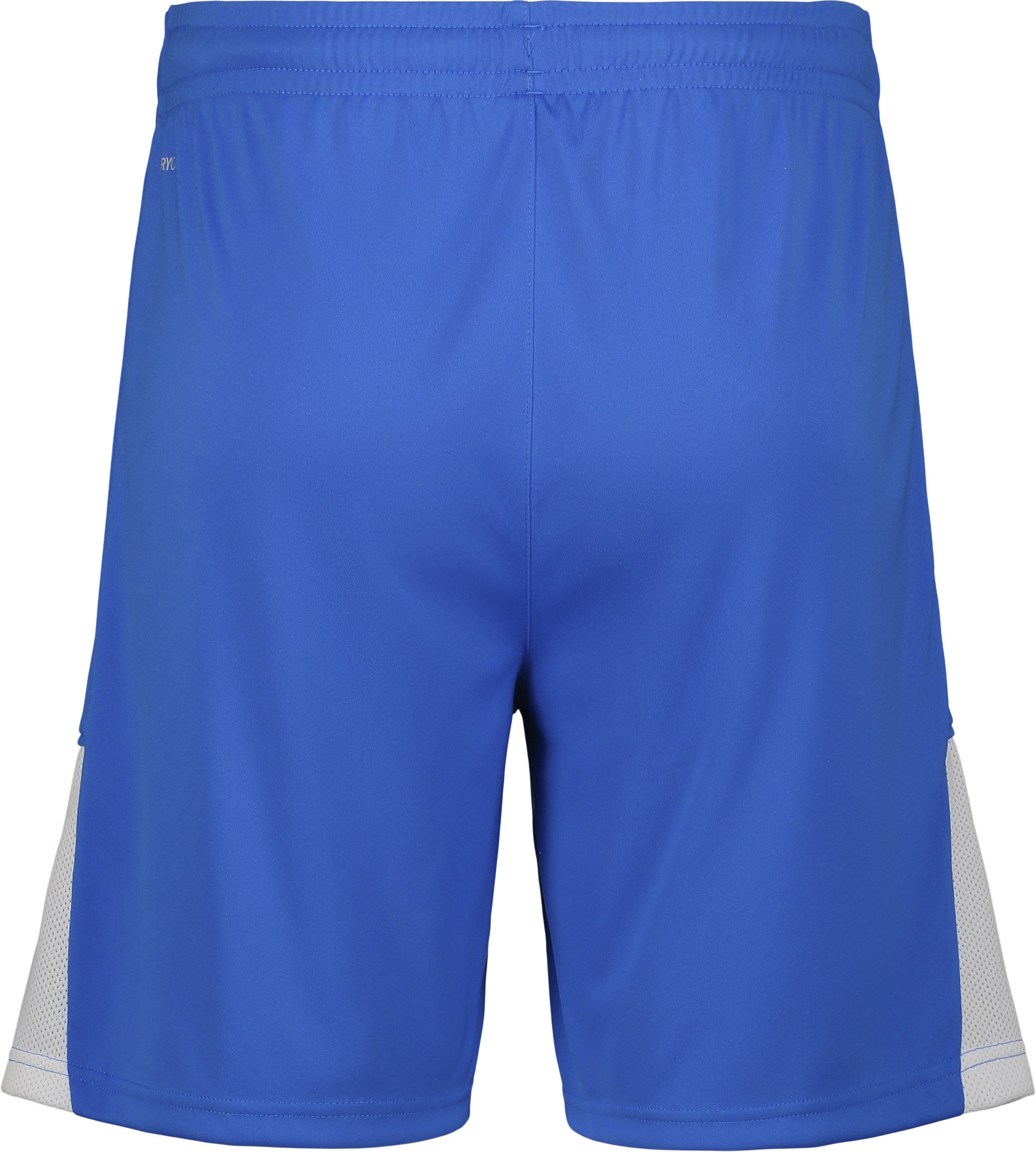 PUMA, TEAMLIGA26 SHORTS