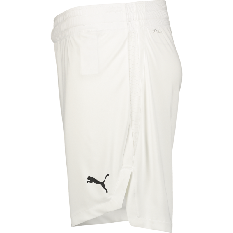 PUMA, TEAMJAWS STARTER SHORTS