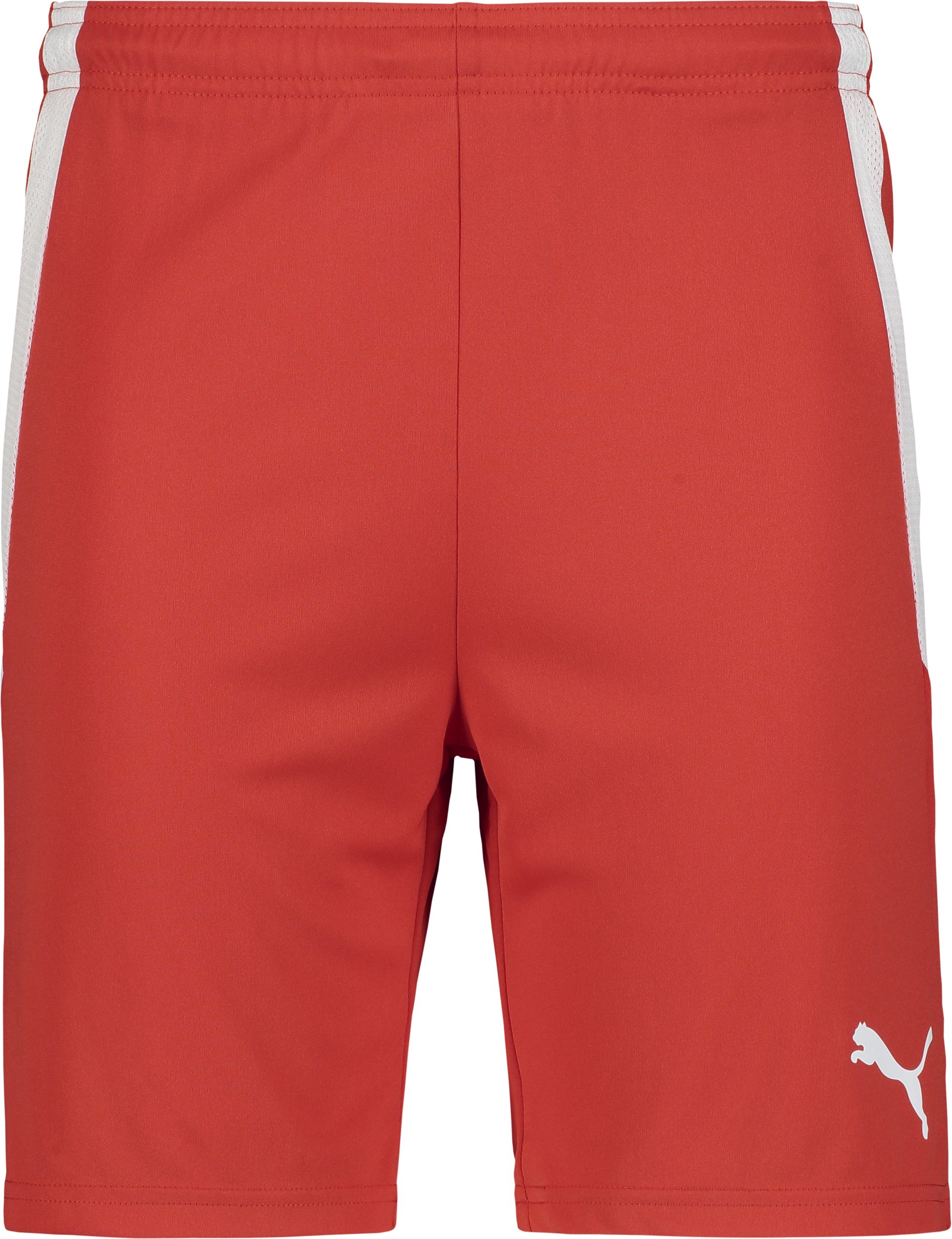 
PUMA, 
T Liga Shorts Jr, 
Detail 1
