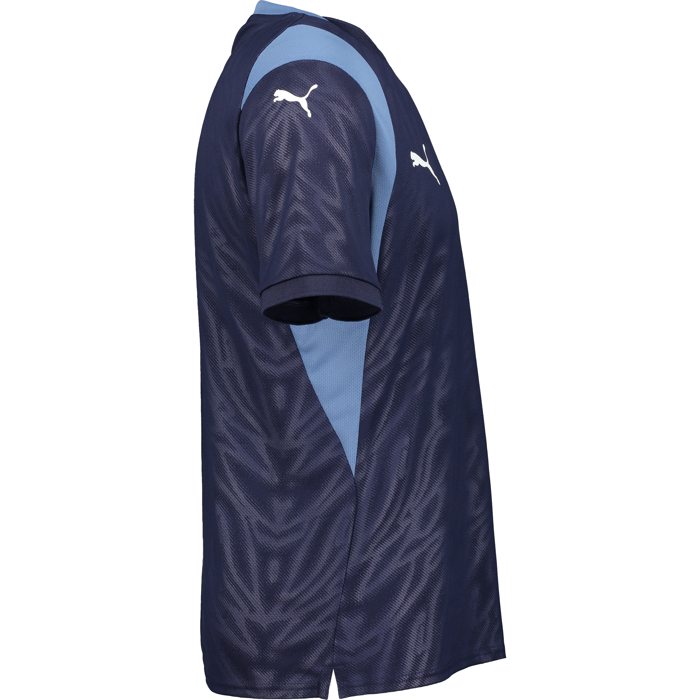 PUMA, Teamcup Jersey