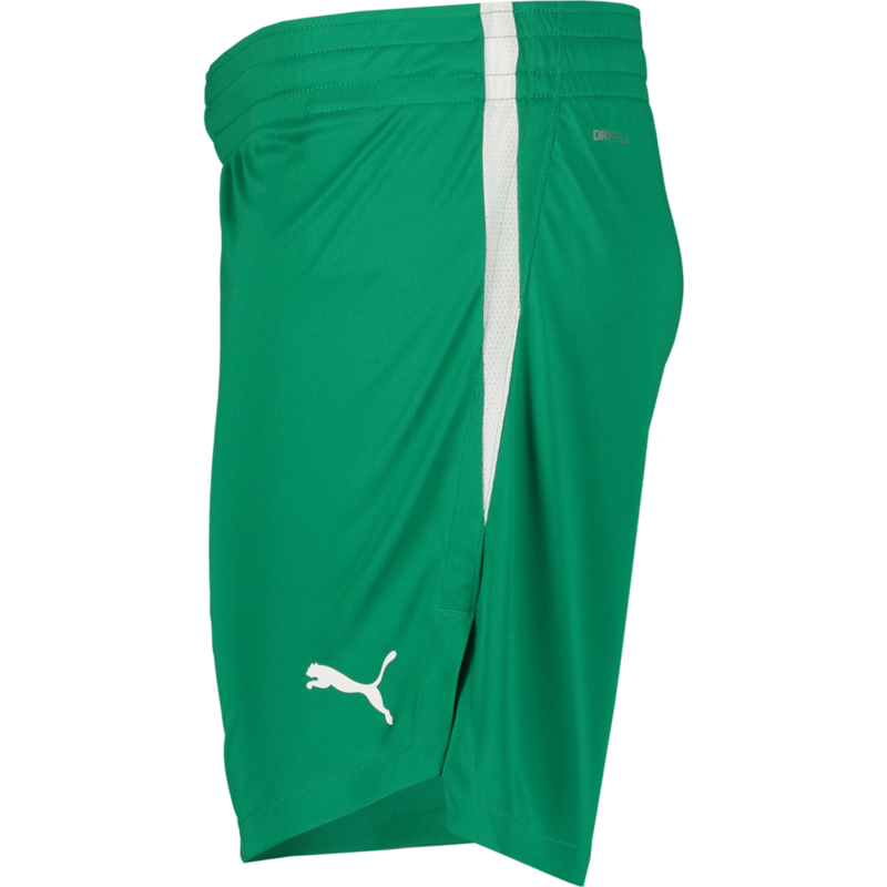 PUMA, TEAMJAWS STARTER SHORTS