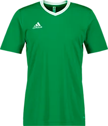 358910110101 ADIDAS Ent22 Jsy Tee Jr 358910110101 ADIDAS Ent22 Jsy Tee Jr Standard Small1x1