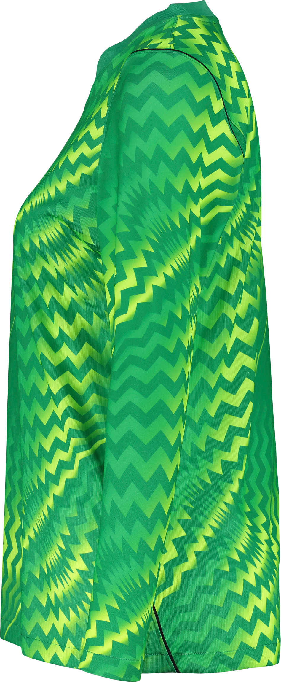 NIKE, GARDIEN VI GK LS JSY W