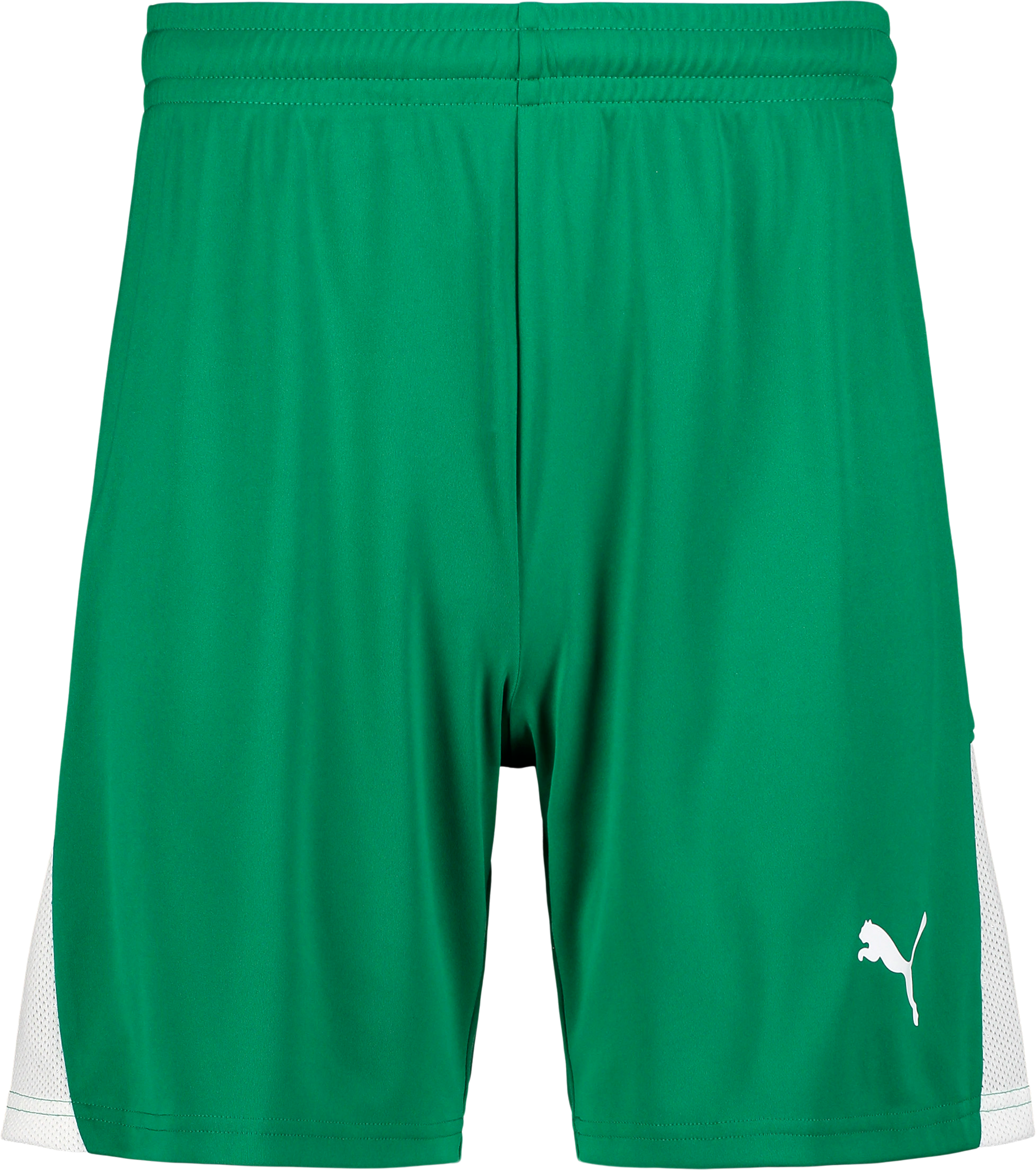 
PUMA, 
TEAMLIGA26 SHORTS JR, 
Detail 1
