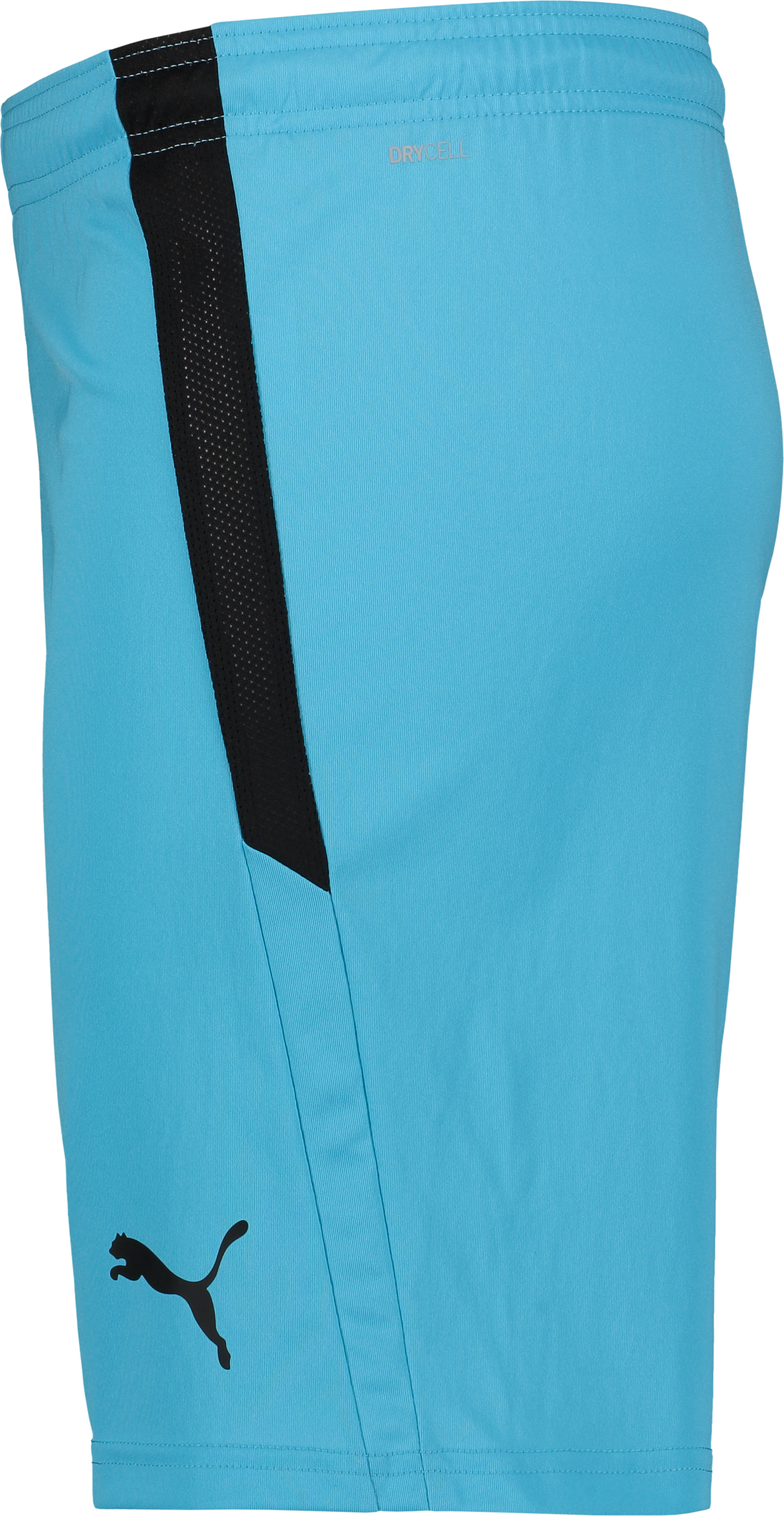 PUMA, T Liga Shorts