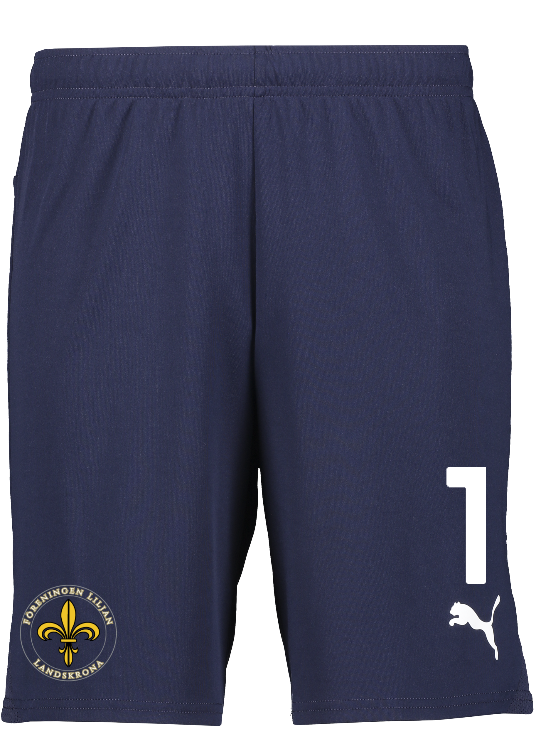 
PUMA, 
T Goal Shorts, 
Detail 1
