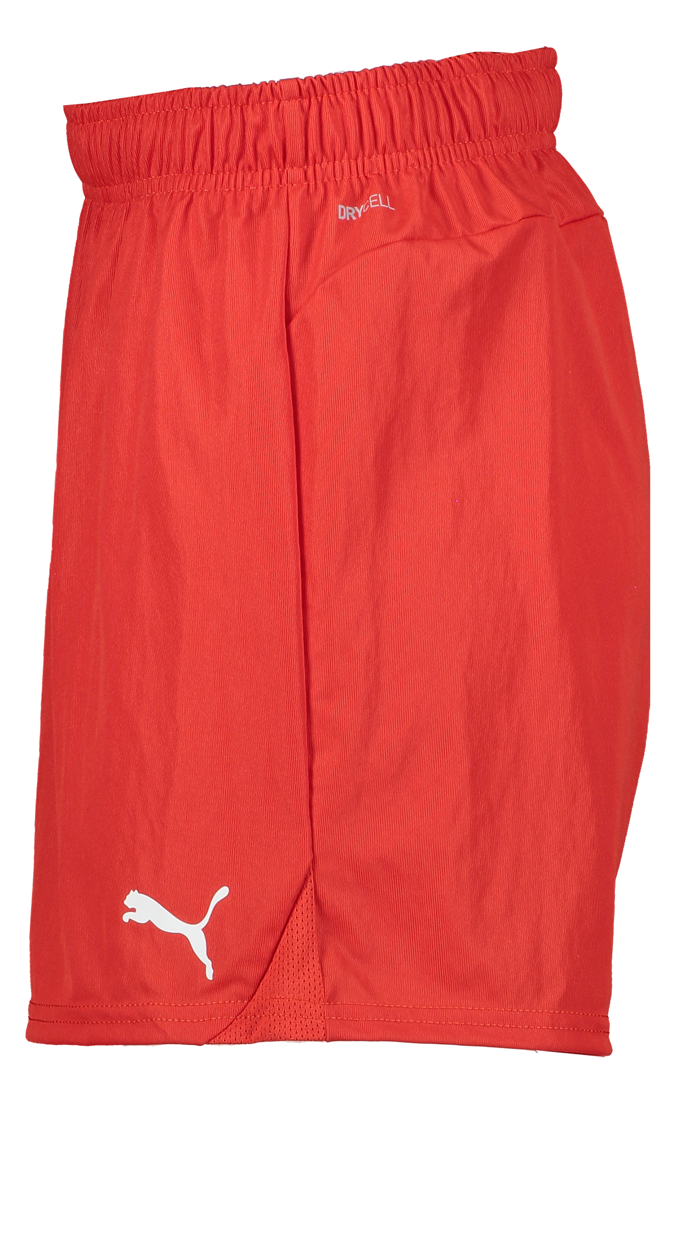 PUMA, T Goal Shorts Wmns