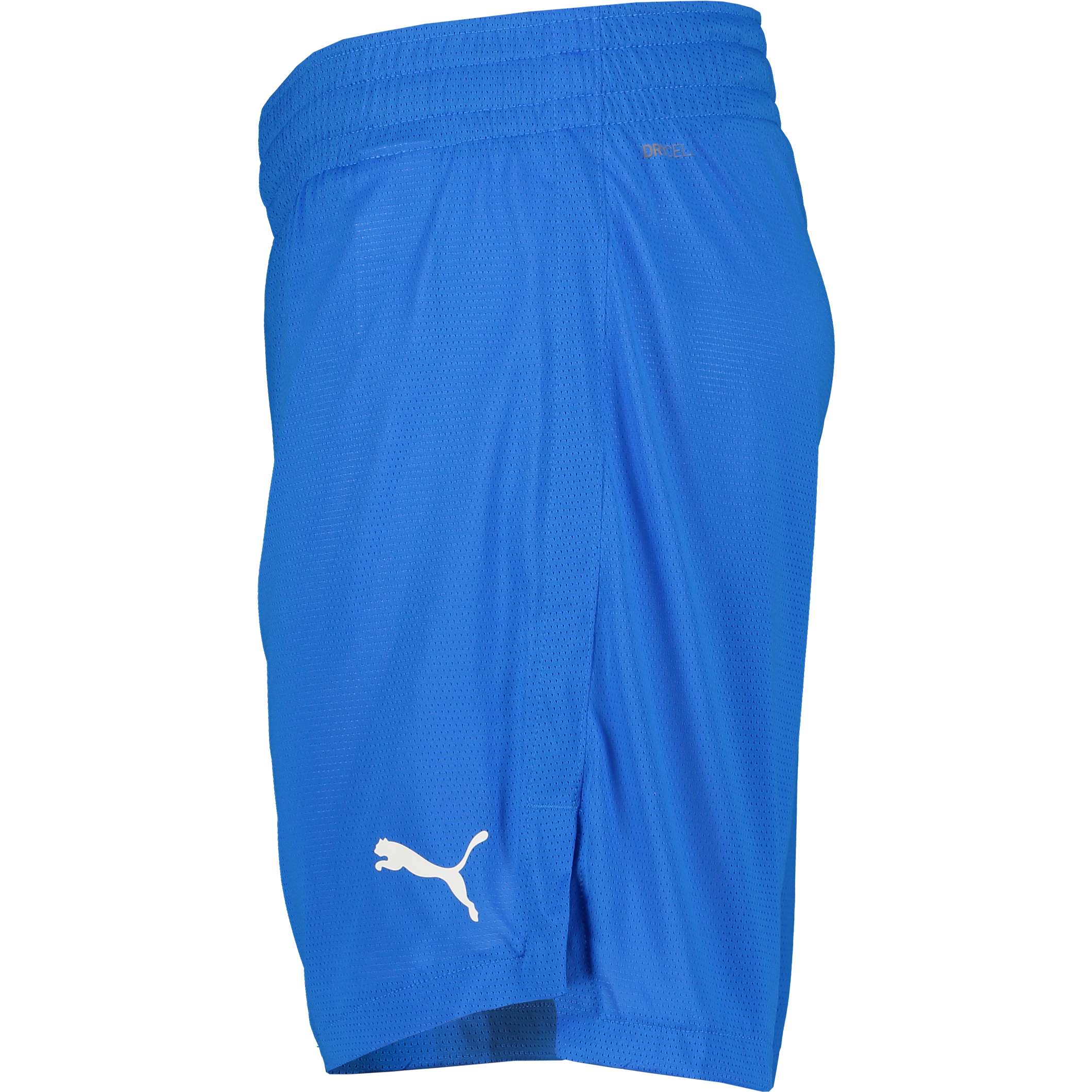 PUMA, TEAMJAWS PRACTICE SHORTS