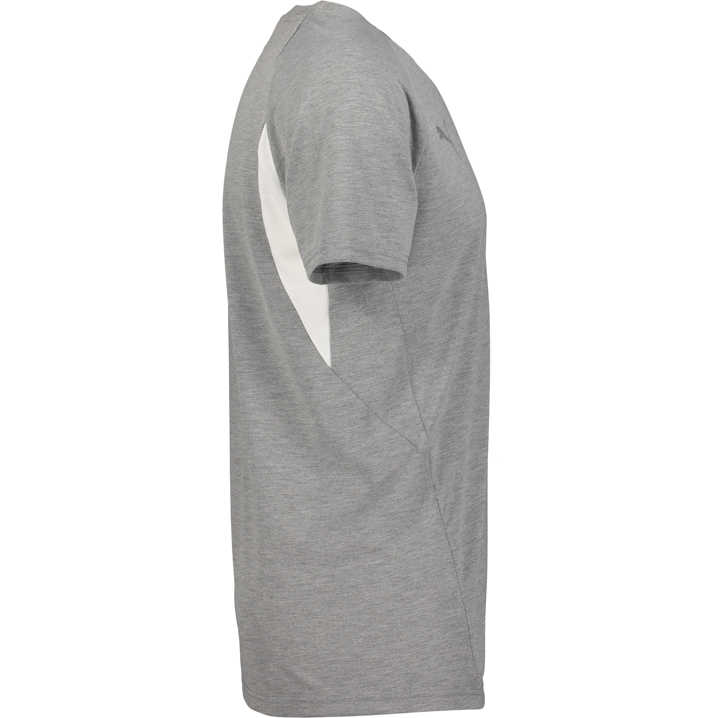 PUMA, T Evostripe Tee