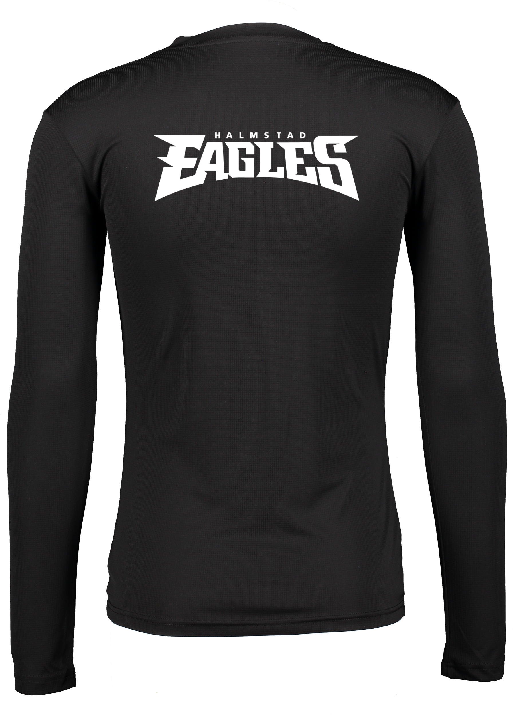 PUMA, T Goal Bl Ls Jsy