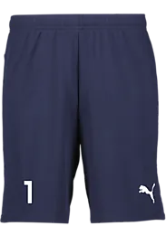 391942106101 PUMA T Goal Shorts 391942106101 PUMA T Goal Shorts Standard Small1x1