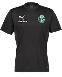 392097103101 PUMA T Goal Trg Jsy 392097103101 PUMA T Goal Trg Jsy Standard Small1x1