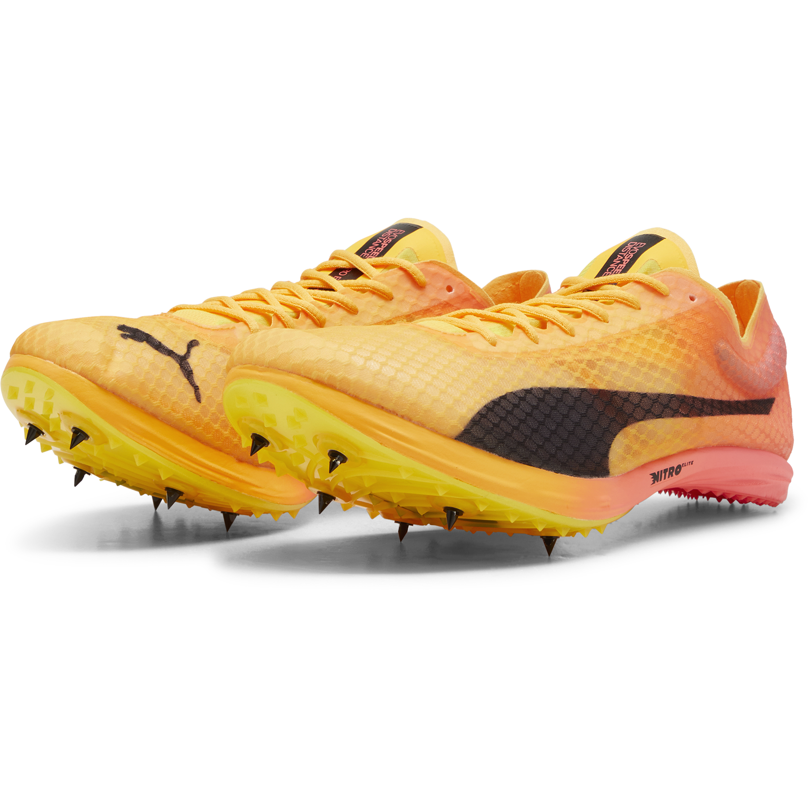 PUMA, Evospeed Distance Nitro Elite+ 4