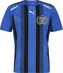 360820102101 PUMA T Liga Striped Jsy Jr 360820102101 PUMA T Liga Striped Jsy Jr Standard Small1x1