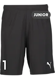 392286103101 PUMA T Goal Shorts Jr 392286103101 PUMA T Goal Shorts Jr Standard Small1x1