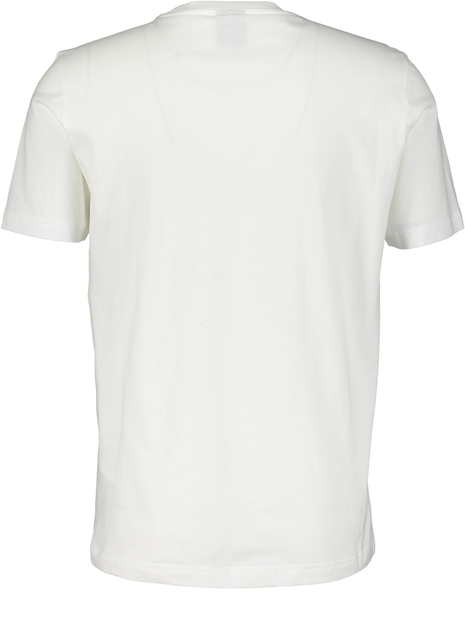 CHAMPION, Crewneck T-Shirt M