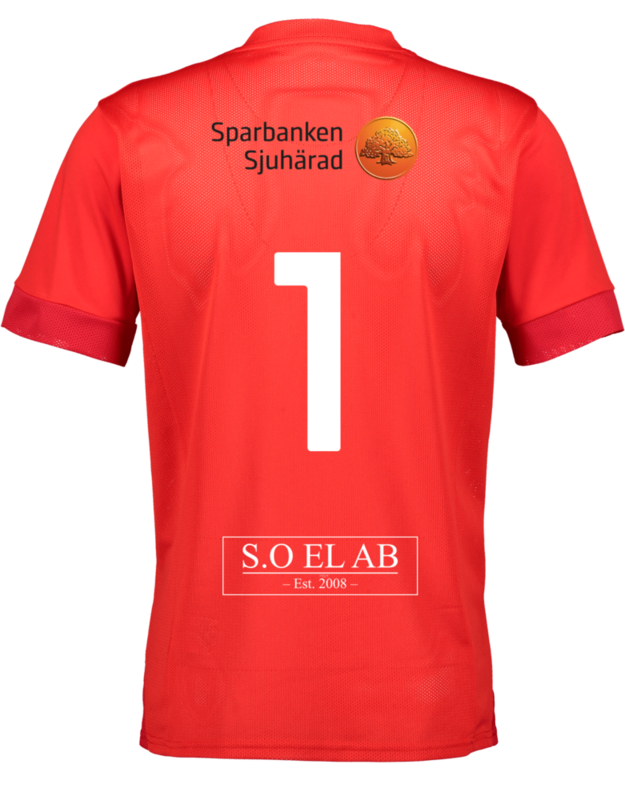 PUMA, T Goal Matchday Jsy