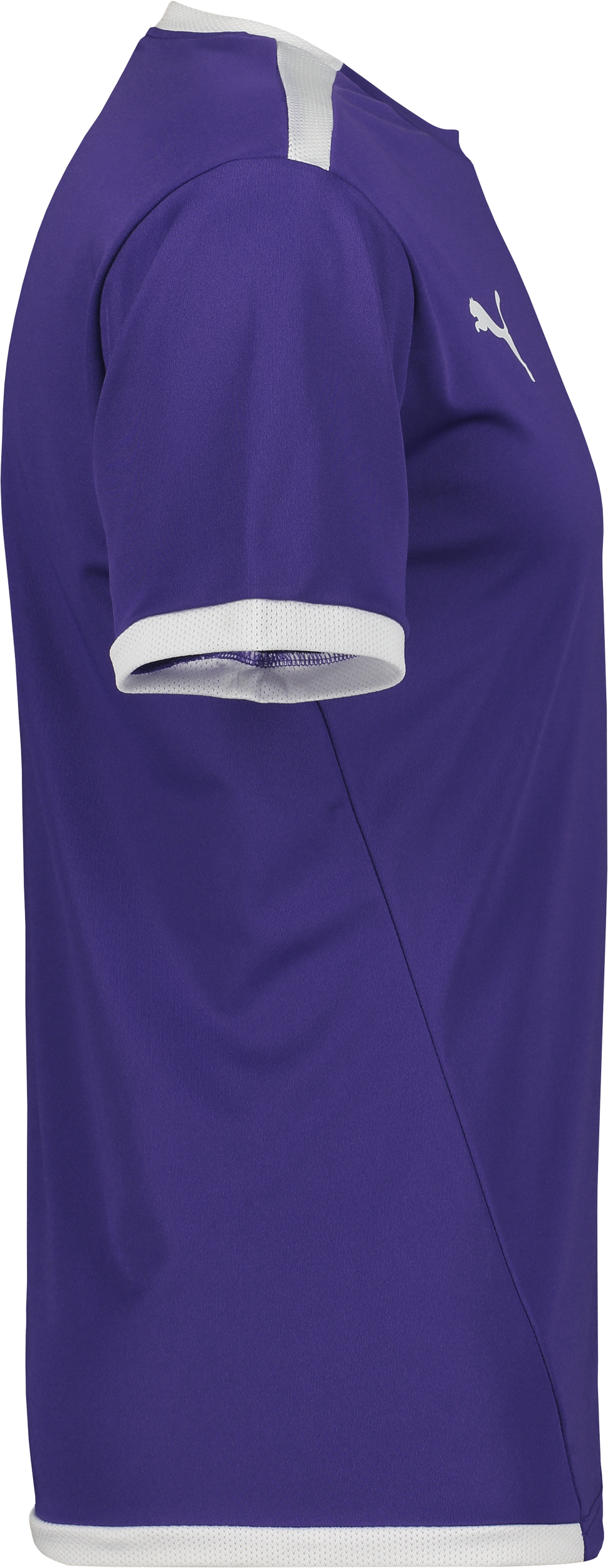 PUMA, T Liga Ss Jsy Jr