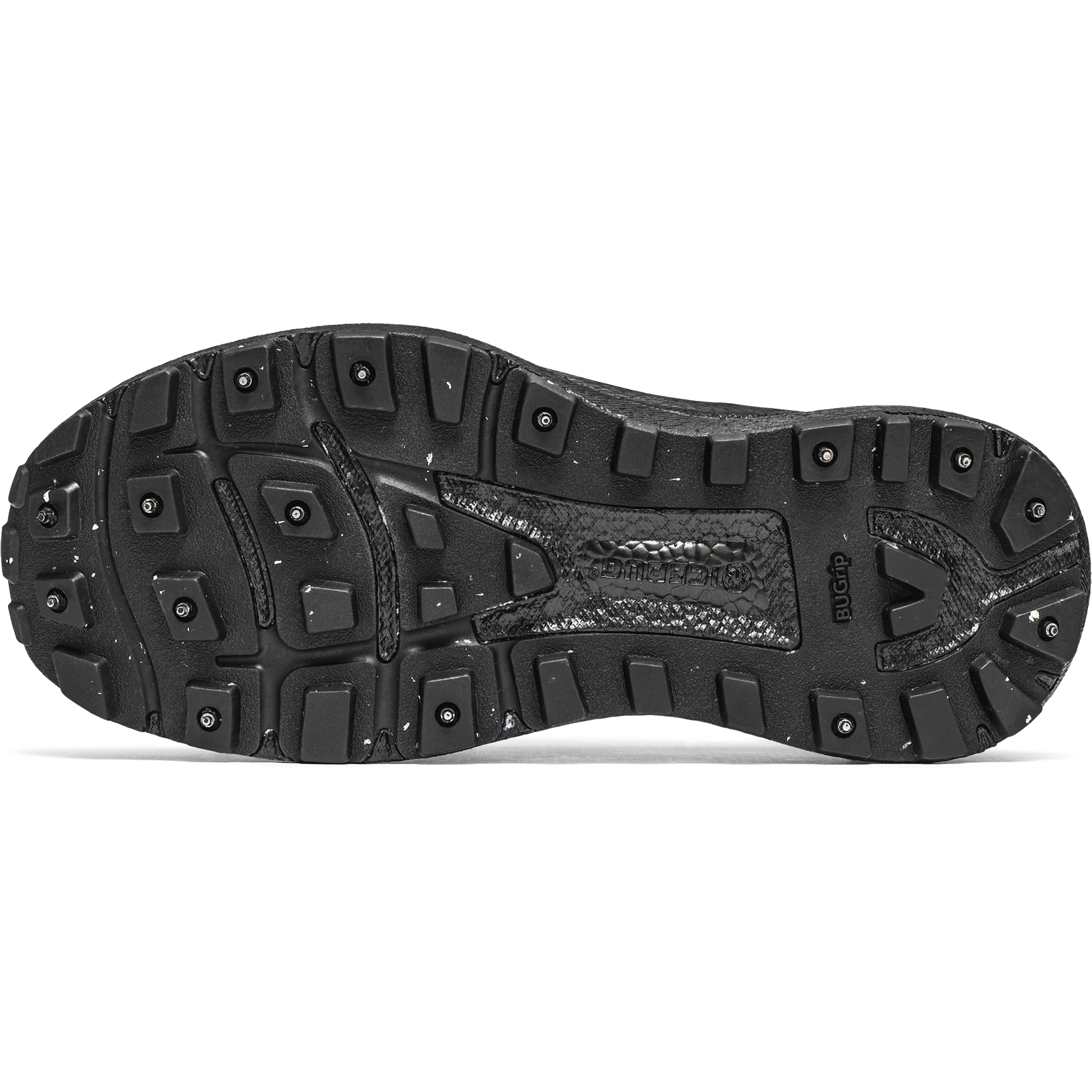 ICEBUG, W Myr Bugrip