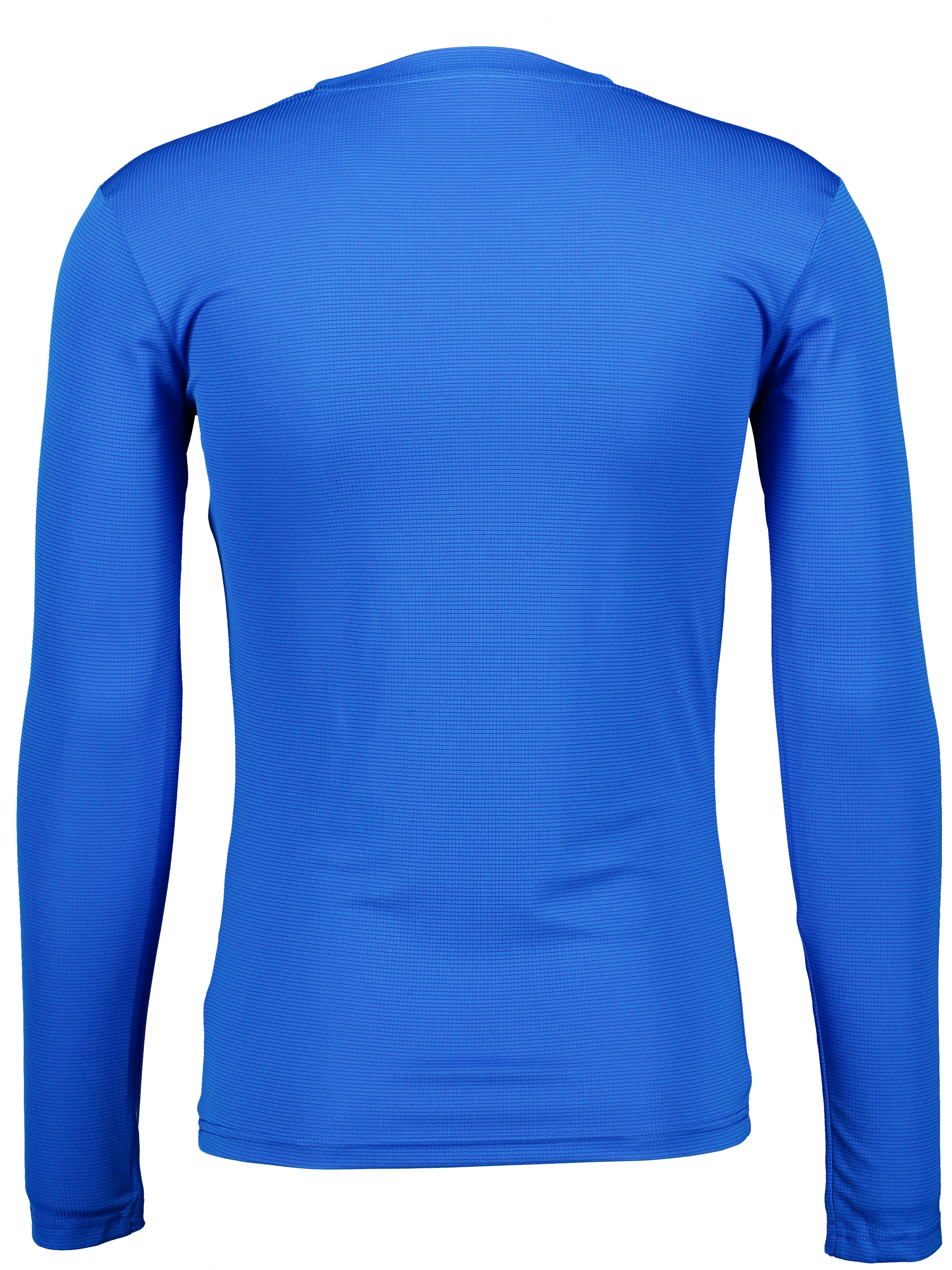 PUMA, T Goal Bl Ls Jsy Jr