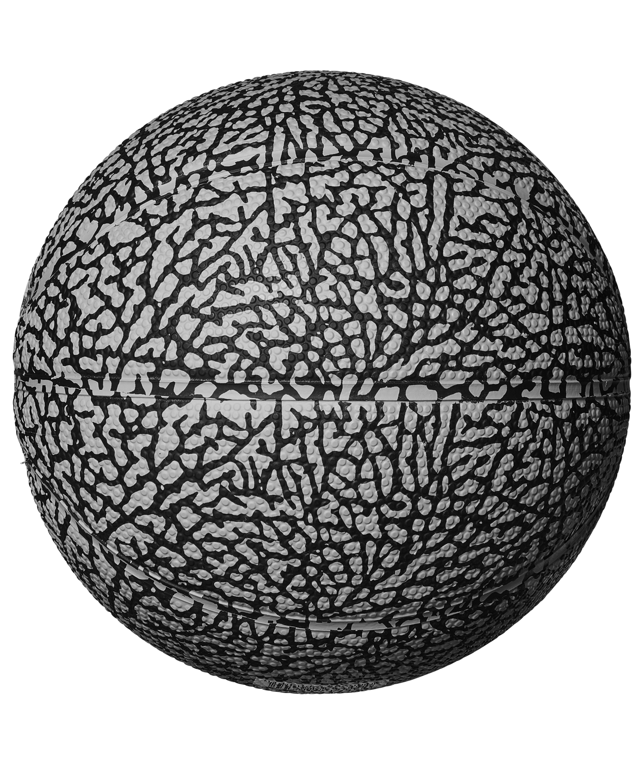 JORDAN, Jordan Skills 2.0 Graphic