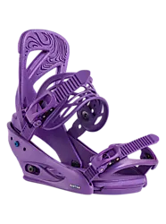 W Scribe - Imperial Purple Standard Small1x1