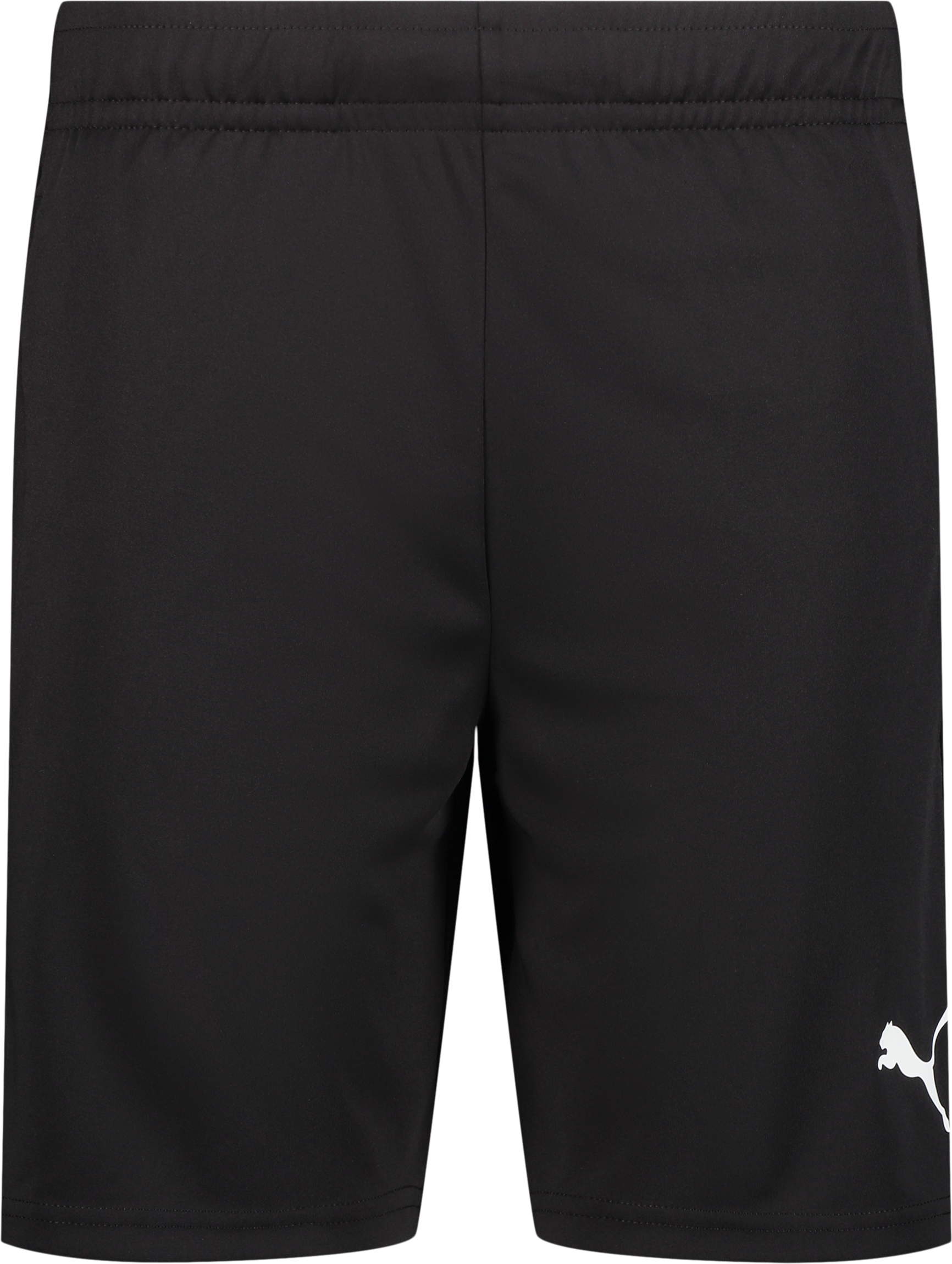 
PUMA, 
TEAMLIGA TRAINING SHORTS, 
Detail 1
